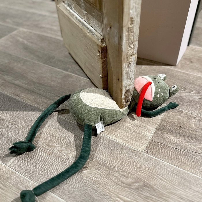 Fermaporta Froggo